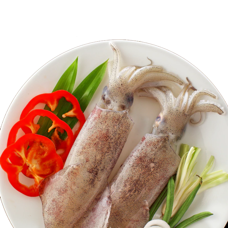 squid whole